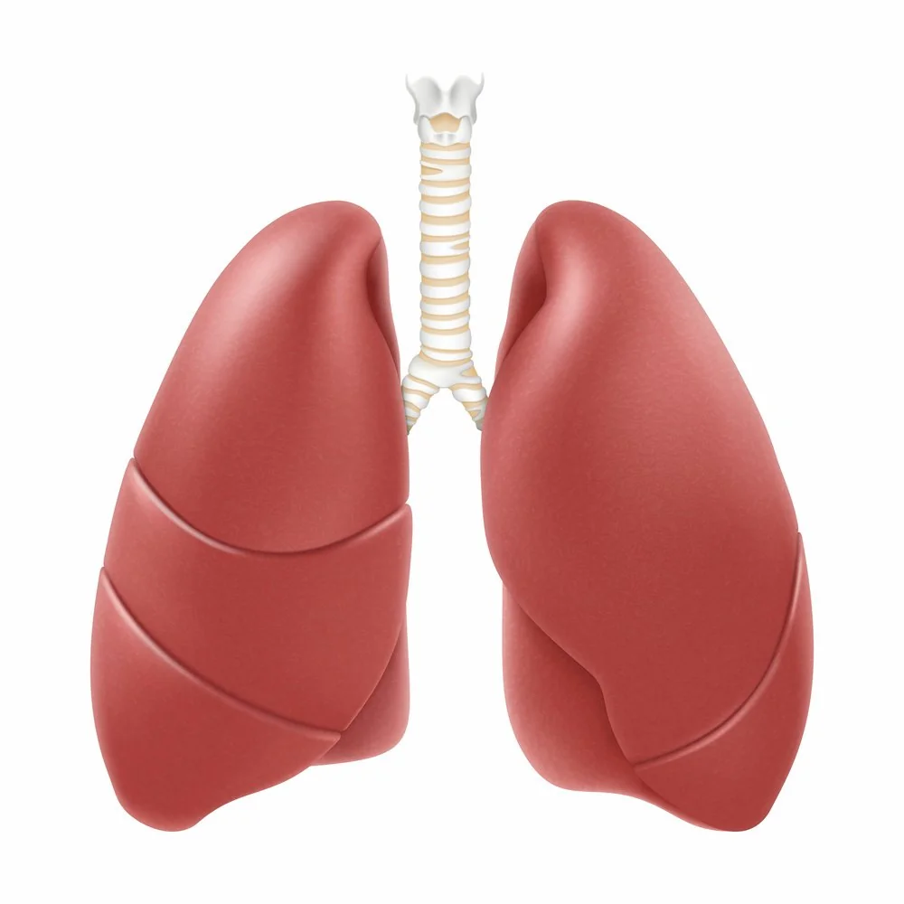 Lung Cancer